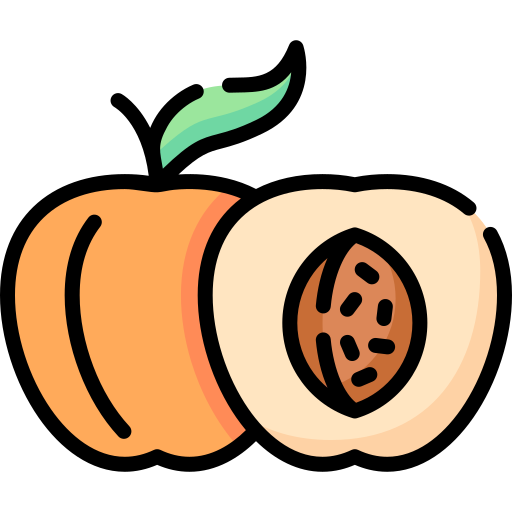 Peach Special Lineal color icon