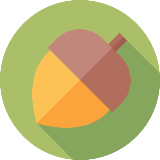 Acorn Flat Circular Flat icon