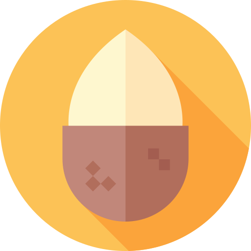 Almond Flat Circular Flat icon