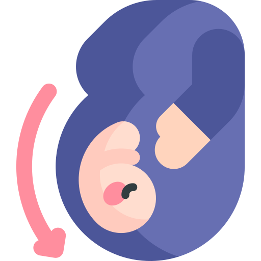 schwangerschaft Kawaii Flat icon