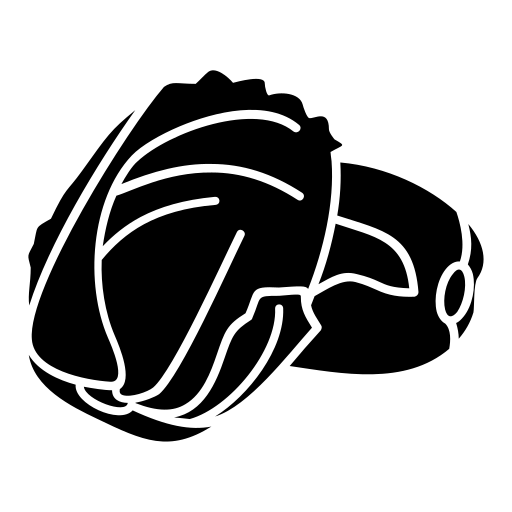 kapusta Generic Glyph ikona