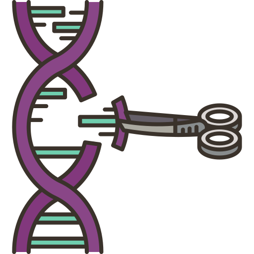 modificación genética Amethys Design Lineal Color icono