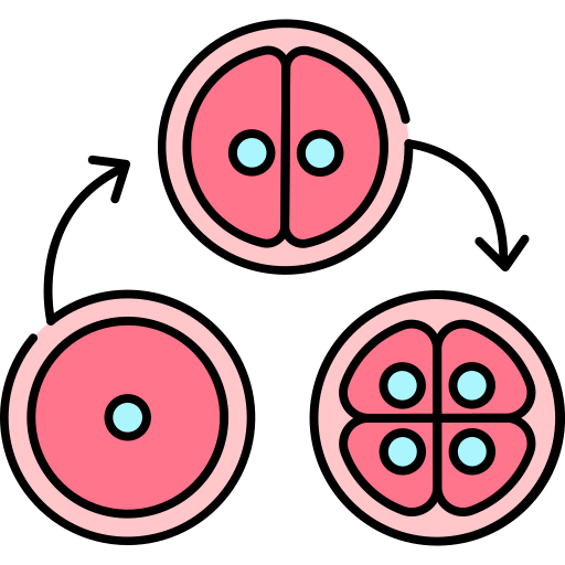 세포 분열 Generic Thin Outline Color icon