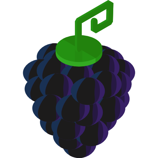 Grapes Roundicons Premium Isometric icon