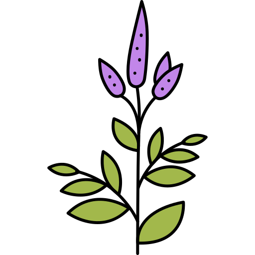 bloem Generic Outline Color icoon