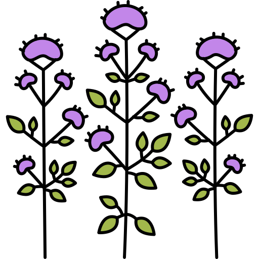 orégano Generic Outline Color icono