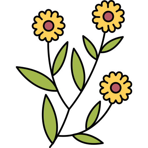 Calendula Generic Outline Color icon