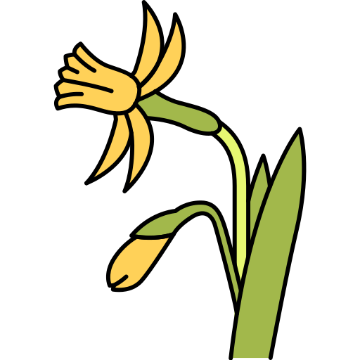 Narcissus Generic Outline Color icon