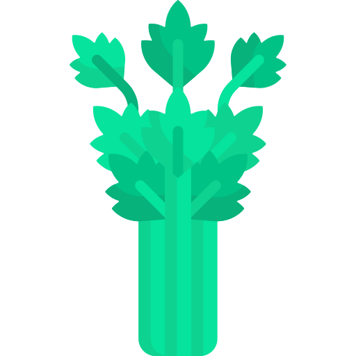 Celery Special Flat icon