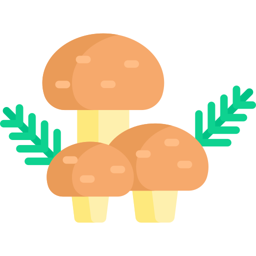 Mushrooms Special Flat icon