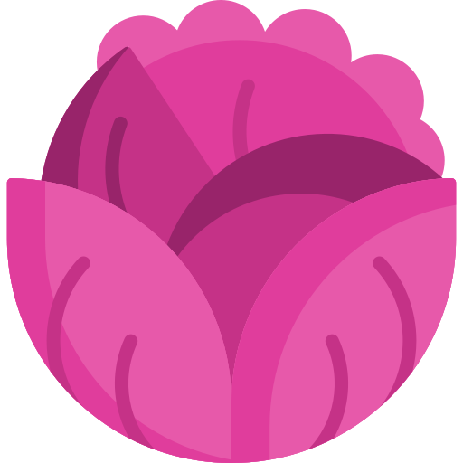 Red cabbage Special Flat icon