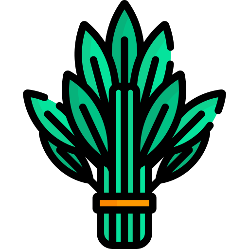 espinacas Special Lineal color icono