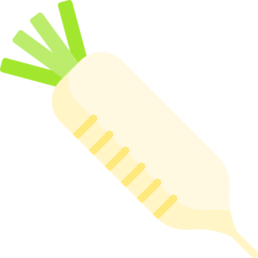 Radish Special Flat icon