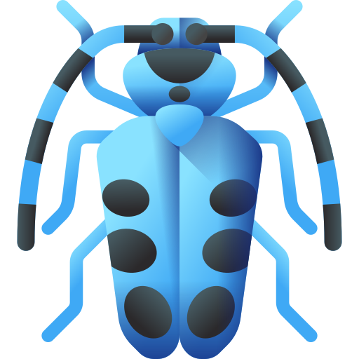 scarabeo rosalia batesi 3D Color icona