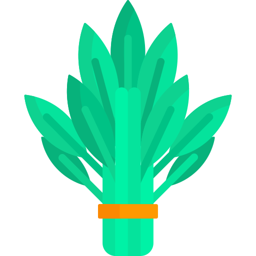 Spinach Special Flat icon