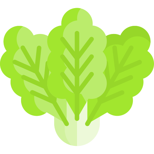 Lettuce Special Flat icon