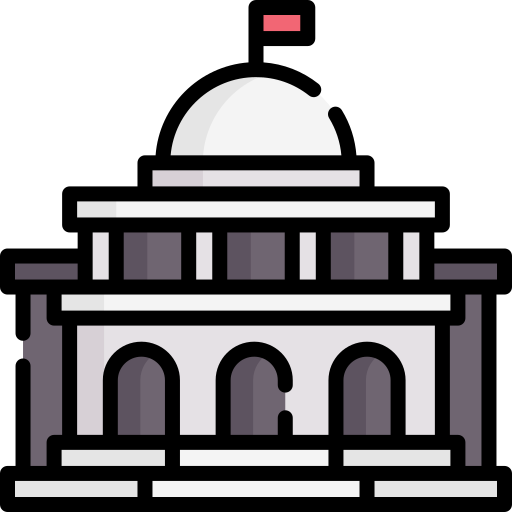 정부 Special Lineal color icon