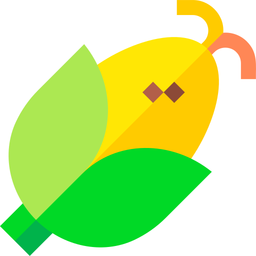 Corn Basic Straight Flat icon