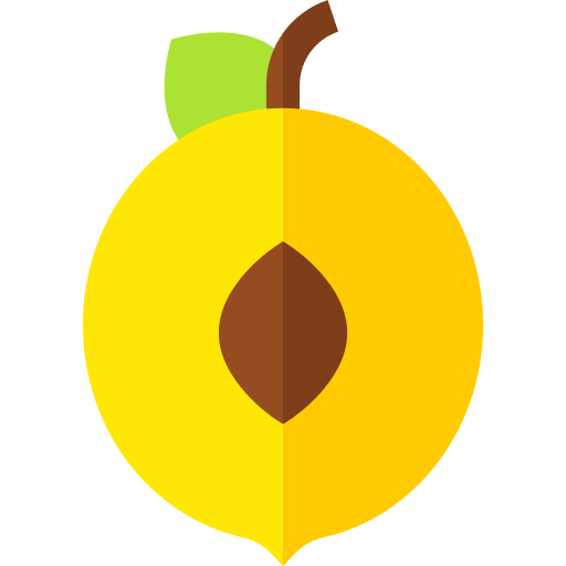 Apricot Basic Straight Flat icon