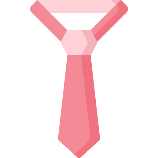 corbata Special Flat icono