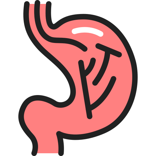 estómago Generic Outline Color icono