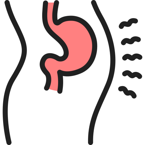 estómago Generic Outline Color icono