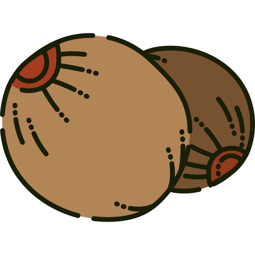 Nutmeg Generic Outline Color icon