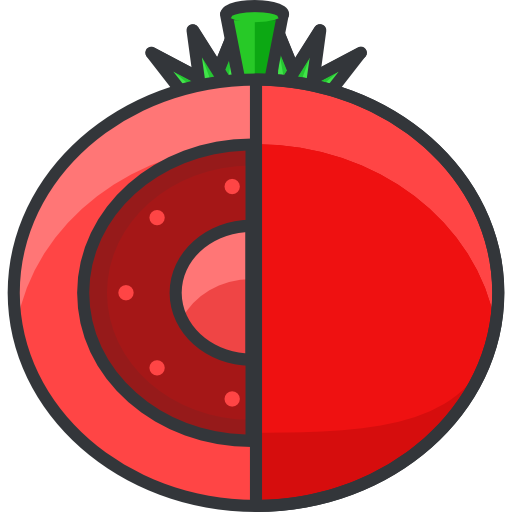 tomate Roundicons Premium Lineal Color Icône