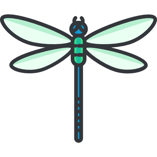 Dragonfly Roundicons Premium Lineal Color icon