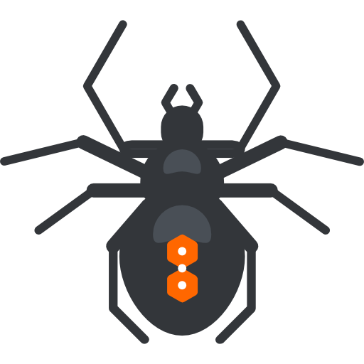 거미 Roundicons Premium Lineal Color icon