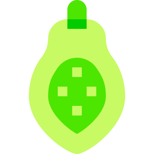 papaya Basic Sheer Flat icono