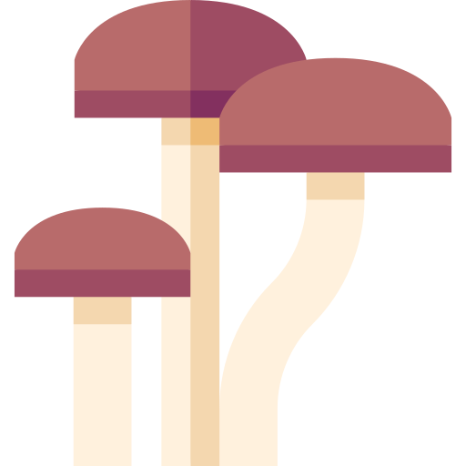 funghi Basic Straight Flat icona