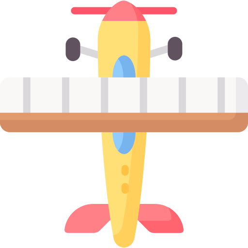 avion Special Flat Icône