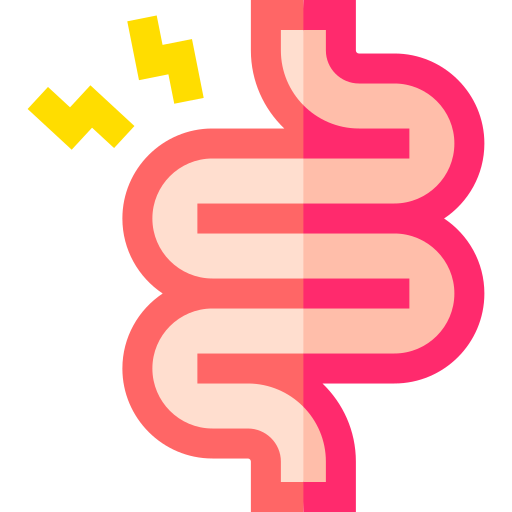 Small intestine Basic Straight Flat icon