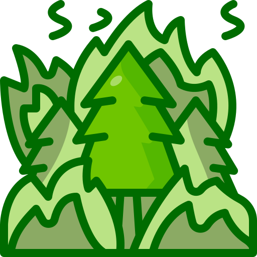 Forest fire Generic Outline Color icon
