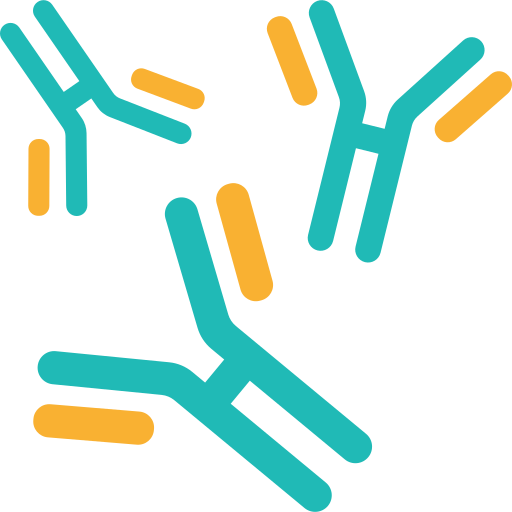 Antibodies Amethys Design Flat icon