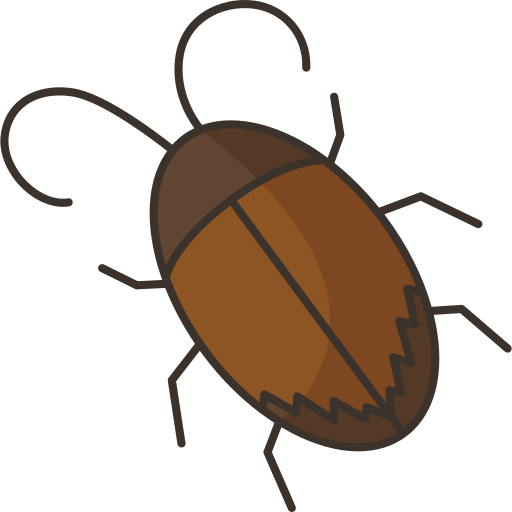 cucaracha Amethys Design Lineal Color icono