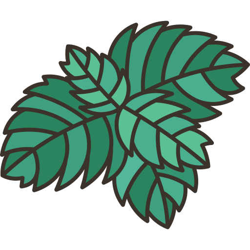 Mint Amethys Design Lineal Color icon