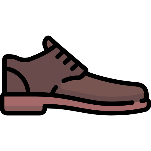 靴 Special Lineal color icon