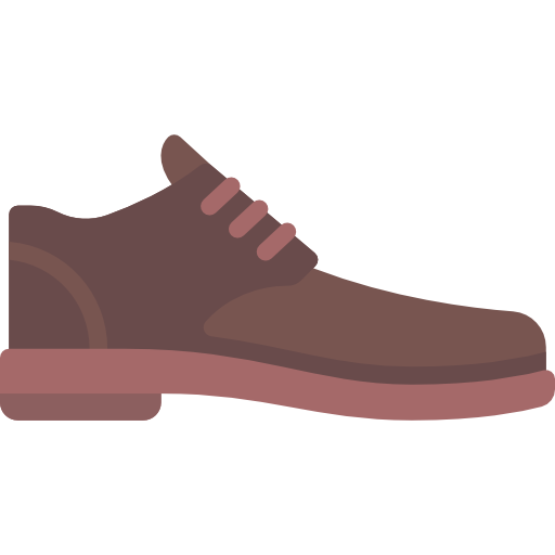zapato Special Flat icono