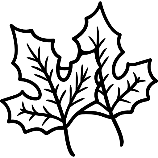 ahornblatt Hand Drawn Black icon