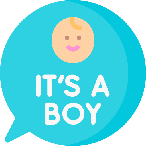 Its a boy Special Flat icon
