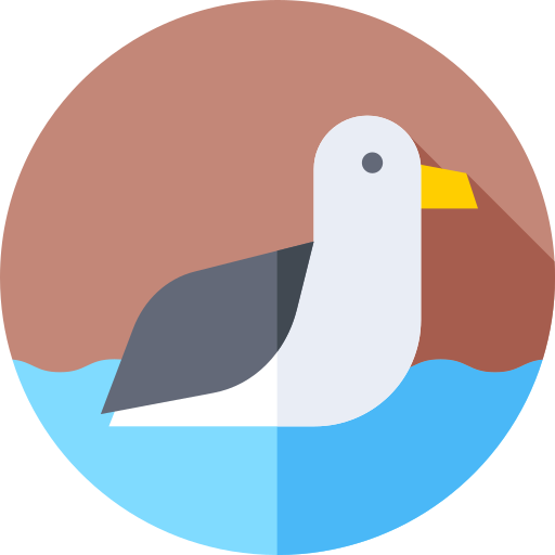 Seagull Flat Circular Flat icon