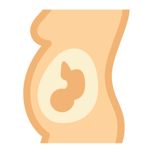 w ciąży Generic Flat ikona