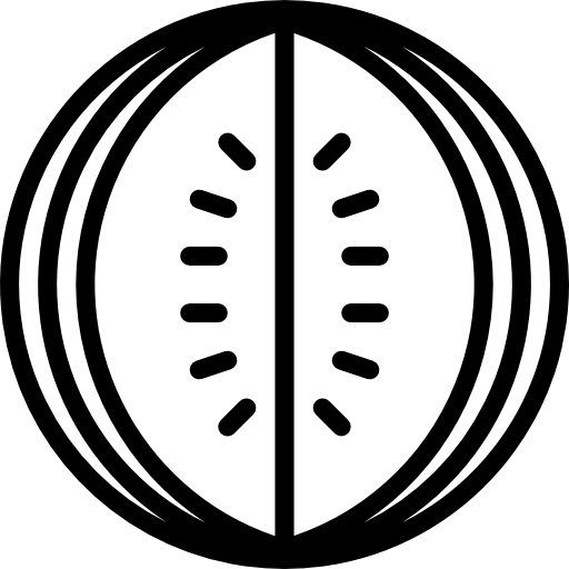 sandía Basic Mixture Lineal icono