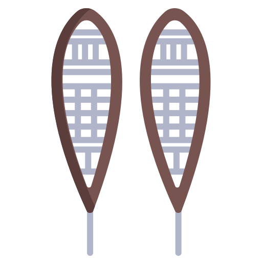 raquetes de neve Icongeek26 Flat Ícone