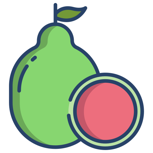 Guava Icongeek26 Linear Colour icon