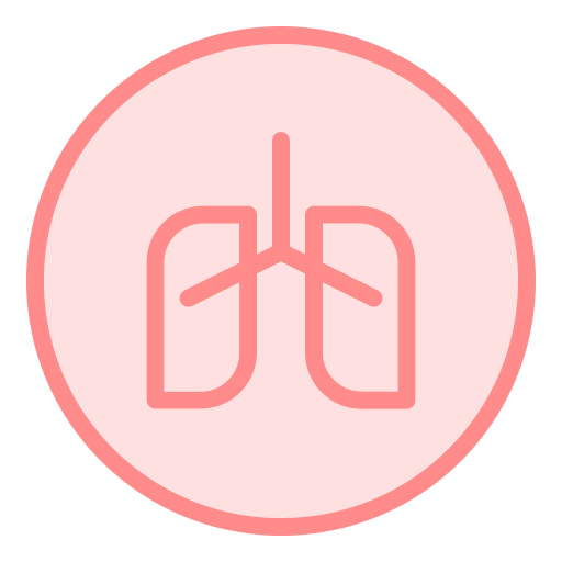 polmoni Generic Outline Color icona