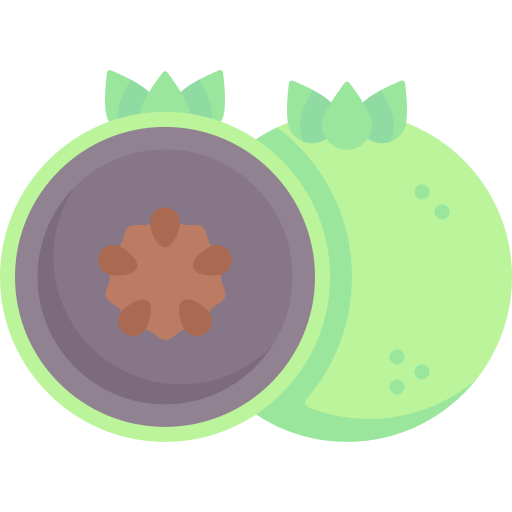 Sapote Special Flat icon