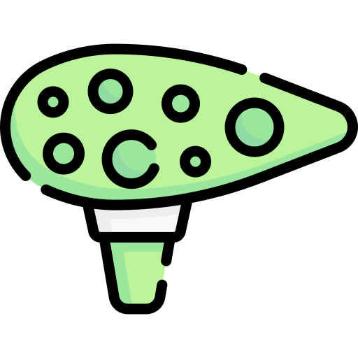 Ocarina Special Lineal color icon